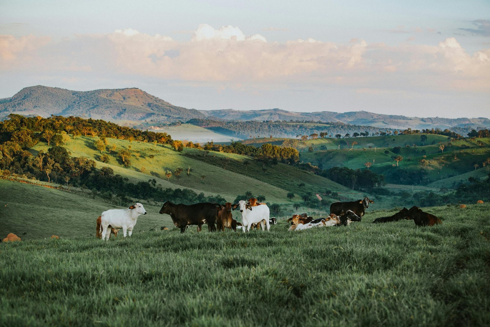 7 Motivos Incríveis para Fazer Excursões para Cidades Históricas de Minas Gerais e Voltar no Tempo